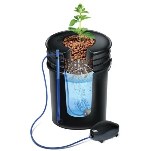 Deep water hydroponie