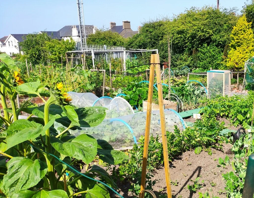 Jardin partager à Montpellier